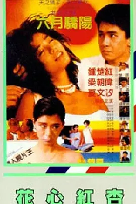 蓝光手机在线看